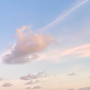 Meet your Posher, Darius